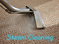 steam cleaning