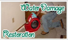 tiles after cleaning